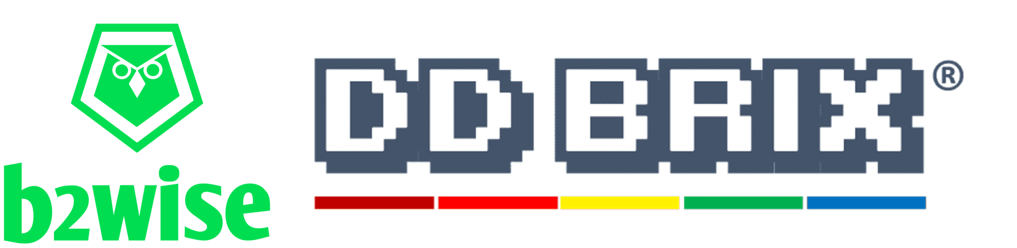 DDBRIX x b2wise